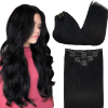 Full Head Clip-In Jet Black #1 Hair Extensions