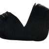 Full Head Clip-In Jet Black #1 Hair Extensions