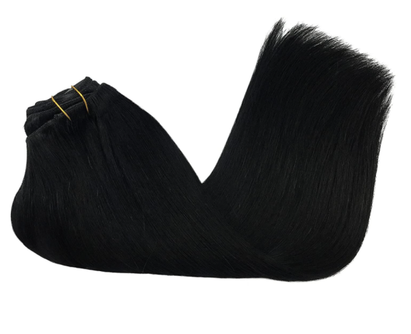 Full Head Clip-In Jet Black #1 Hair Extensions