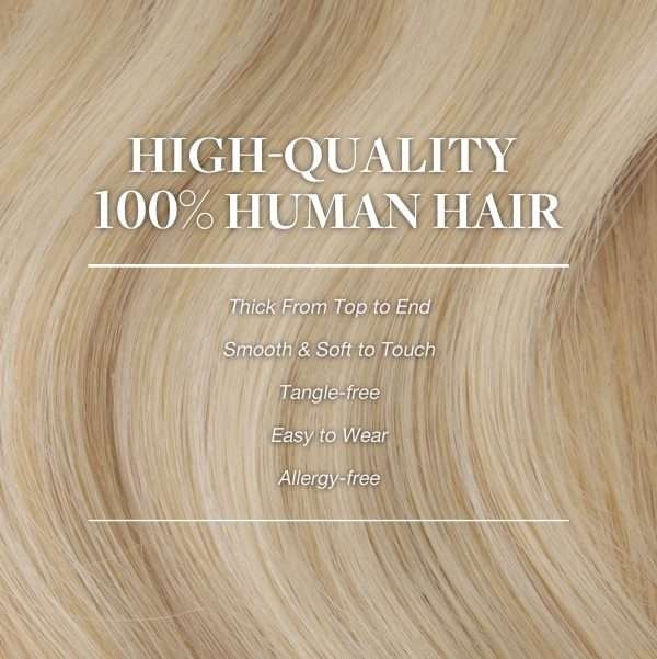 Full Head Clip-In Dark Blonde Highlighted Bleach Blonde #18/613 Hair Extensions