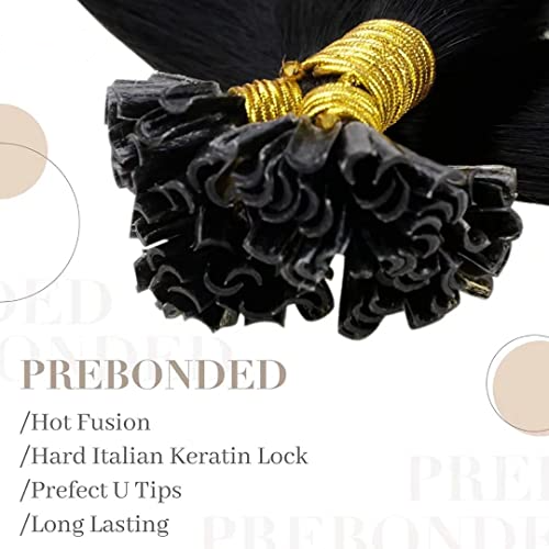 Black U Tip Hair Extensions Real Human Hair Jet Black U-Tip Hair Extensions Black Women Invisible Natural Hot Fusion Hair Extensions 1g/1s 16 Inch 50set