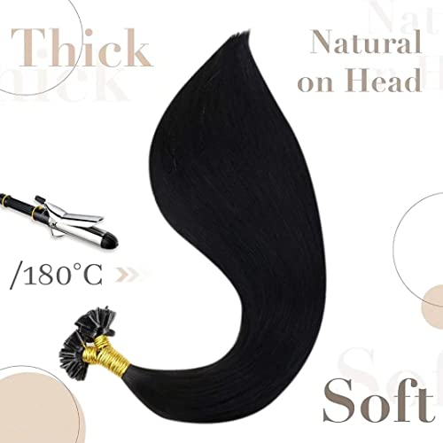 Black U Tip Hair Extensions Real Human Hair Jet Black U-Tip Hair Extensions Black Women Invisible Natural Hot Fusion Hair Extensions 1g/1s 16 Inch 50set